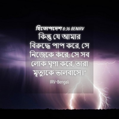 Picture 04 - হিতোপদেশ 8:36 BENIRV - কিন্তু যে আমার - Bible Verse Picture
