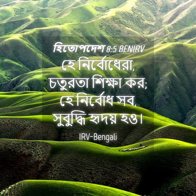 Picture 04 - হিতোপদেশ 8:5 BENIRV - হে নির্বোধেরা, - Bible Verse Picture