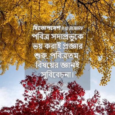 Picture 04 - হিতোপদেশ 9:10 BENIRV - পবিত্র সদাপ্রভুকে - Bible Verse Picture