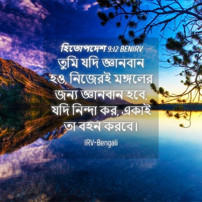Picture 04 - হিতোপদেশ 9:12 BENIRV - তুমি যদি জ্ঞানবান - Bible Verse Picture