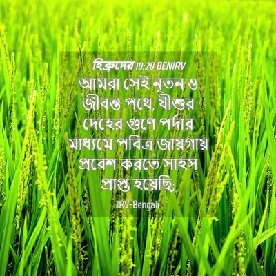Picture 04 - হিব্রুদের 10:20 BENIRV - আমরা সেই নূতন ও - Bible Verse Picture