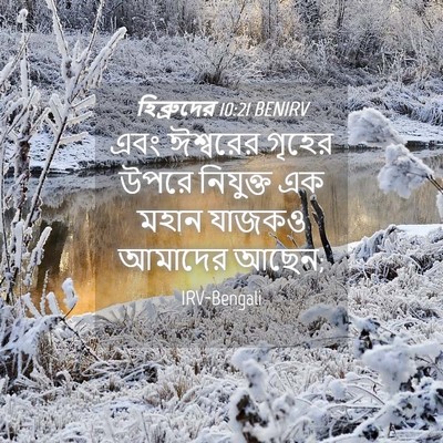 Picture 04 - হিব্রুদের 10:21 BENIRV - এবং ঈশ্বরের গৃহের - Bible Verse Picture