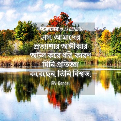 Picture 04 - হিব্রুদের 10:23 BENIRV - এস, আমাদের - Bible Verse Picture