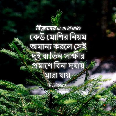 Picture 04 - হিব্রুদের 10:28 BENIRV - কেউ মোশির নিয়ম - Bible Verse Picture