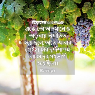 Picture 04 - হিব্রুদের 10:33 BENIRV - একে তো অপমানে ও - Bible Verse Picture