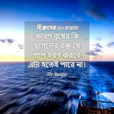 Picture 04 - হিব্রুদের 10:4 BENIRV - কারণ বৃষের কি - Bible Verse Picture
