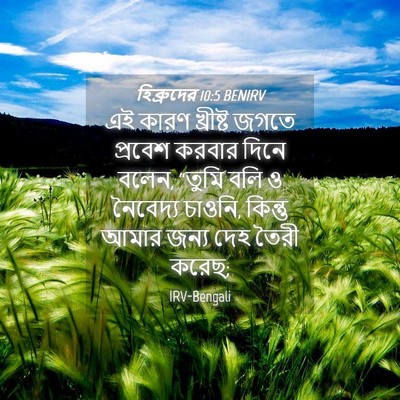 Picture 04 - হিব্রুদের 10:5 BENIRV - এই কারণ খ্রীষ্ট - Bible Verse Picture