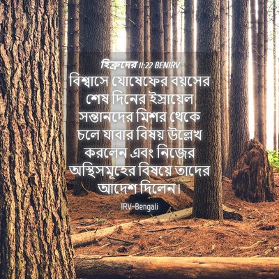 Picture 04 - হিব্রুদের 11:22 BENIRV - বিশ্বাসে যোষেফের - Bible Verse Picture