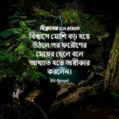 Picture 04 - হিব্রুদের 11:24 BENIRV - বিশ্বাসে মোশি বড় - Bible Verse Picture