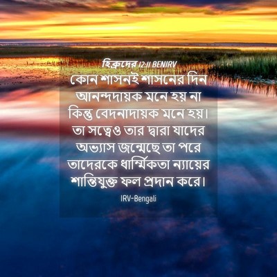 Picture 04 - হিব্রুদের 12:11 BENIRV - কোন শাসনই শাসনের - Bible Verse Picture