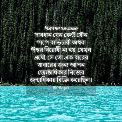 Picture 04 - হিব্রুদের 12:16 BENIRV - সাবধান যেন কেউ যৌন - Bible Verse Picture