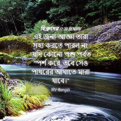Picture 04 - হিব্রুদের 12:20 BENIRV - এই জন্য আজ্ঞা তারা - Bible Verse Picture