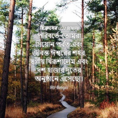 Picture 04 - হিব্রুদের 12:22 BENIRV - পরিবর্তে, তোমরা - Bible Verse Picture
