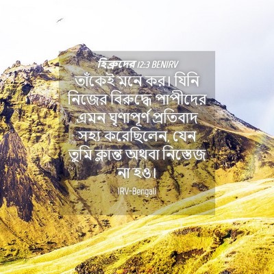Picture 04 - হিব্রুদের 12:3 BENIRV - তাঁকেই মনে কর। - Bible Verse Picture