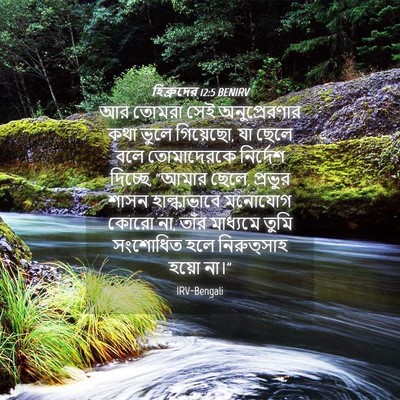 Picture 04 - হিব্রুদের 12:5 BENIRV - আর তোমরা সেই - Bible Verse Picture