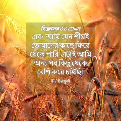 Picture 04 - হিব্রুদের 13:19 BENIRV - এবং আমি যেন শীঘ্রই - Bible Verse Picture