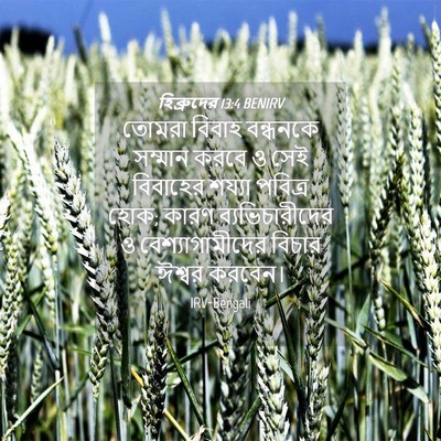 Picture 04 - হিব্রুদের 13:4 BENIRV - তোমরা বিবাহ - Bible Verse Picture