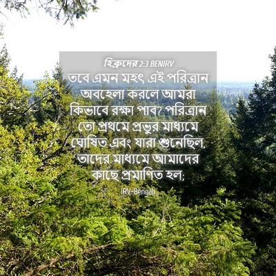 Picture 04 - হিব্রুদের 2:3 BENIRV - তবে এমন মহৎ এই - Bible Verse Picture