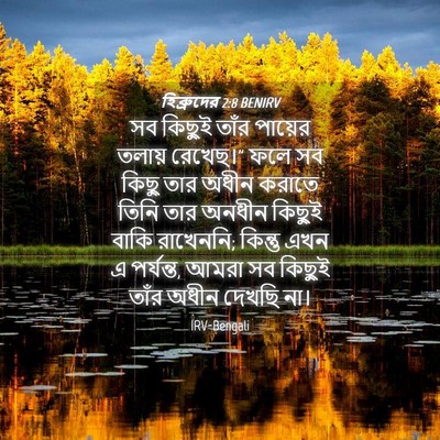 Picture 04 - হিব্রুদের 2:8 BENIRV - সব কিছুই তাঁর - Bible Verse Picture