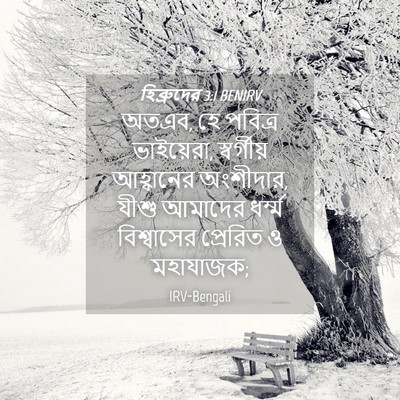 Picture 04 - হিব্রুদের 3:1 BENIRV - অতএব, হে পবিত্র - Bible Verse Picture