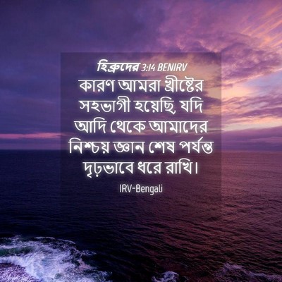 Picture 04 - হিব্রুদের 3:14 BENIRV - কারণ আমরা - Bible Verse Picture