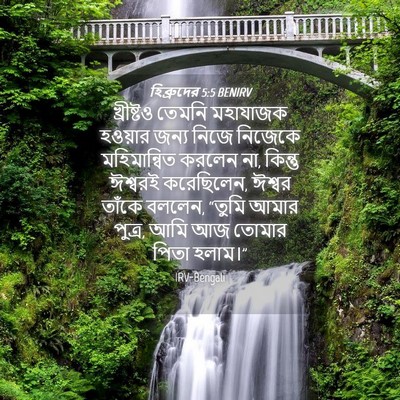 Picture 04 - হিব্রুদের 5:5 BENIRV - খ্রীষ্টও তেমনি - Bible Verse Picture