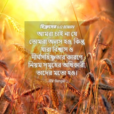 Picture 04 - হিব্রুদের 6:12 BENIRV - আমরা চাই না যে - Bible Verse Picture