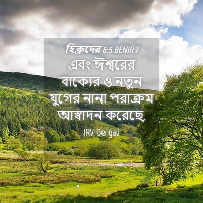 Picture 04 - হিব্রুদের 6:5 BENIRV - এবং ঈশ্বরের - Bible Verse Picture
