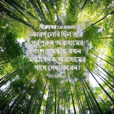 Picture 04 - হিব্রুদের 7:10 BENIRV - কারণ লেবি ছিল তাঁর - Bible Verse Picture