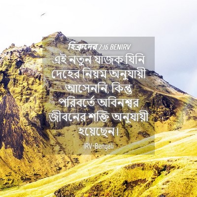 Picture 04 - হিব্রুদের 7:16 BENIRV - এই নতুন যাজক যিনি - Bible Verse Picture