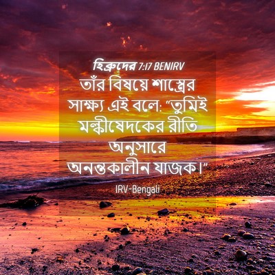 Picture 04 - হিব্রুদের 7:17 BENIRV - তাঁর বিষয়ে - Bible Verse Picture