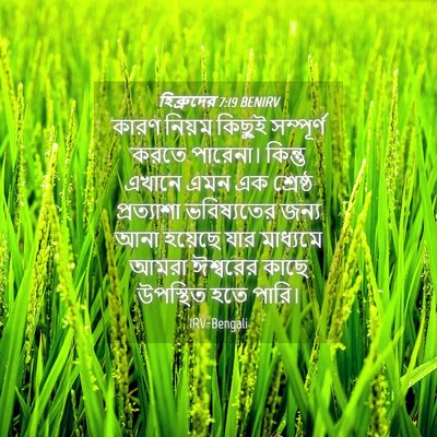 Picture 04 - হিব্রুদের 7:19 BENIRV - কারণ নিয়ম কিছুই - Bible Verse Picture