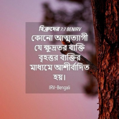 Picture 04 - হিব্রুদের 7:7 BENIRV - কোনো আত্মত্যাগী - Bible Verse Picture