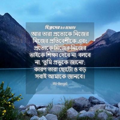 Picture 04 - হিব্রুদের 8:11 BENIRV - আর তারা প্রত্যেকে - Bible Verse Picture