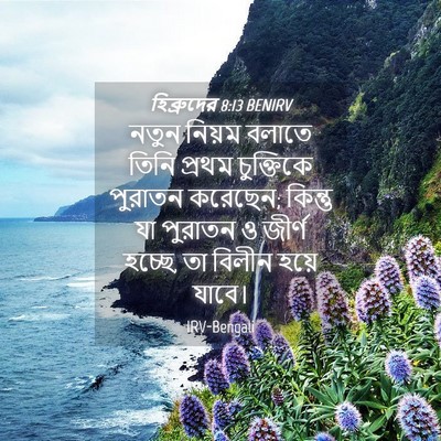Picture 04 - হিব্রুদের 8:13 BENIRV - নতুন নিয়ম বলাতে - Bible Verse Picture