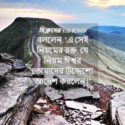 Picture 04 - হিব্রুদের 9:20 BENIRV - বললেন, “এ সেই - Bible Verse Picture