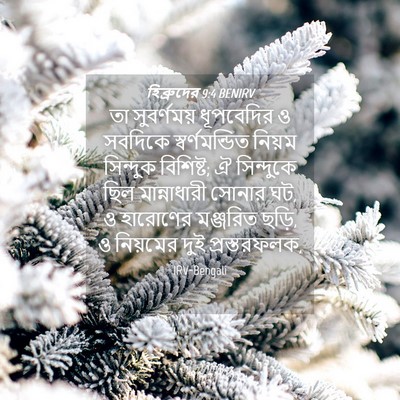 Picture 04 - হিব্রুদের 9:4 BENIRV - তা সুবর্ণময় - Bible Verse Picture