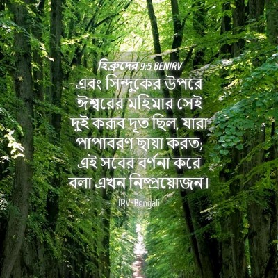 Picture 04 - হিব্রুদের 9:5 BENIRV - এবং সিন্দুকের - Bible Verse Picture
