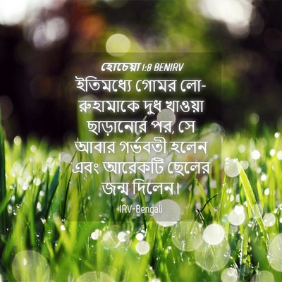 Picture 04 - হোচেয়া 1:8 BENIRV - ইতিমধ্যে গোমর - Bible Verse Picture