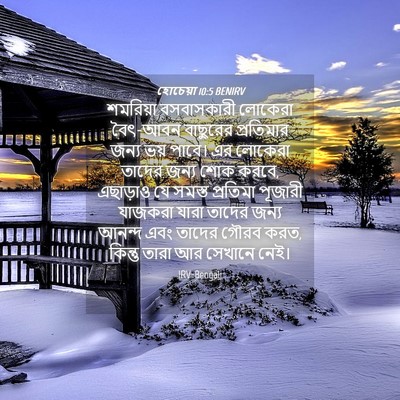 Picture 04 - হোচেয়া 10:5 BENIRV - শমরিয়া বসবাসকারী - Bible Verse Picture