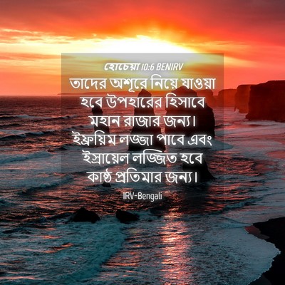 Picture 04 - হোচেয়া 10:6 BENIRV - তাদের অশূরে নিয়ে - Bible Verse Picture