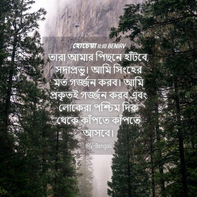 Picture 04 - হোচেয়া 11:10 BENIRV - তারা আমার পিছনে - Bible Verse Picture