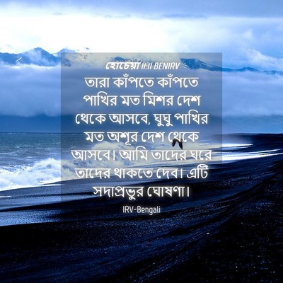 Picture 04 - হোচেয়া 11:11 BENIRV - তারা কাঁপতে - Bible Verse Picture