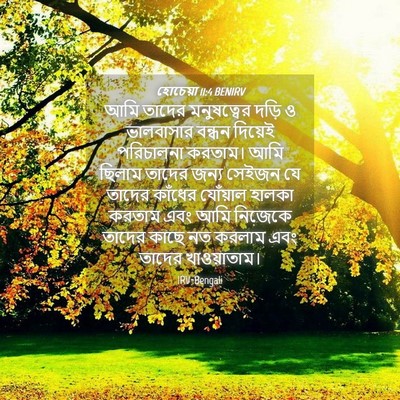 Picture 04 - হোচেয়া 11:4 BENIRV - আমি তাদের - Bible Verse Picture