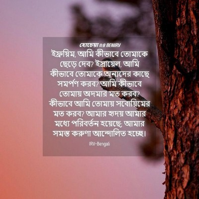 Picture 04 - হোচেয়া 11:8 BENIRV - ইফ্রয়িম, আমি - Bible Verse Picture