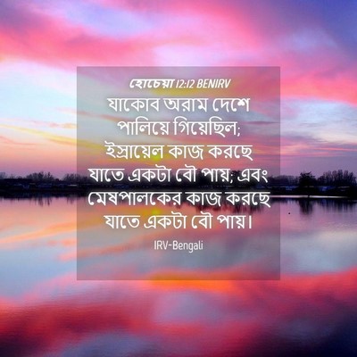 Picture 04 - হোচেয়া 12:12 BENIRV - যাকোব অরাম দেশে - Bible Verse Picture