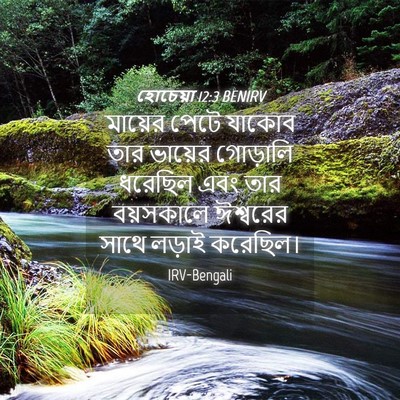 Picture 04 - হোচেয়া 12:3 BENIRV - মায়ের পেটে যাকোব - Bible Verse Picture
