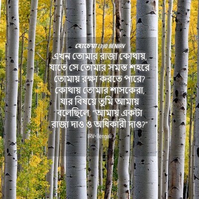 Picture 04 - হোচেয়া 13:10 BENIRV - এখন তোমার রাজা - Bible Verse Picture