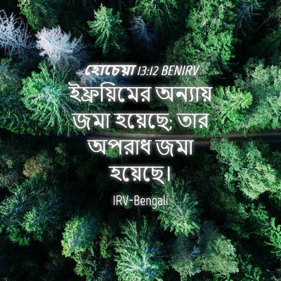 Picture 04 - হোচেয়া 13:12 BENIRV - ইফ্রয়িমের - Bible Verse Picture