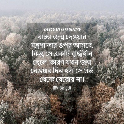 Picture 04 - হোচেয়া 13:13 BENIRV - বাচ্চা জন্ম - Bible Verse Picture